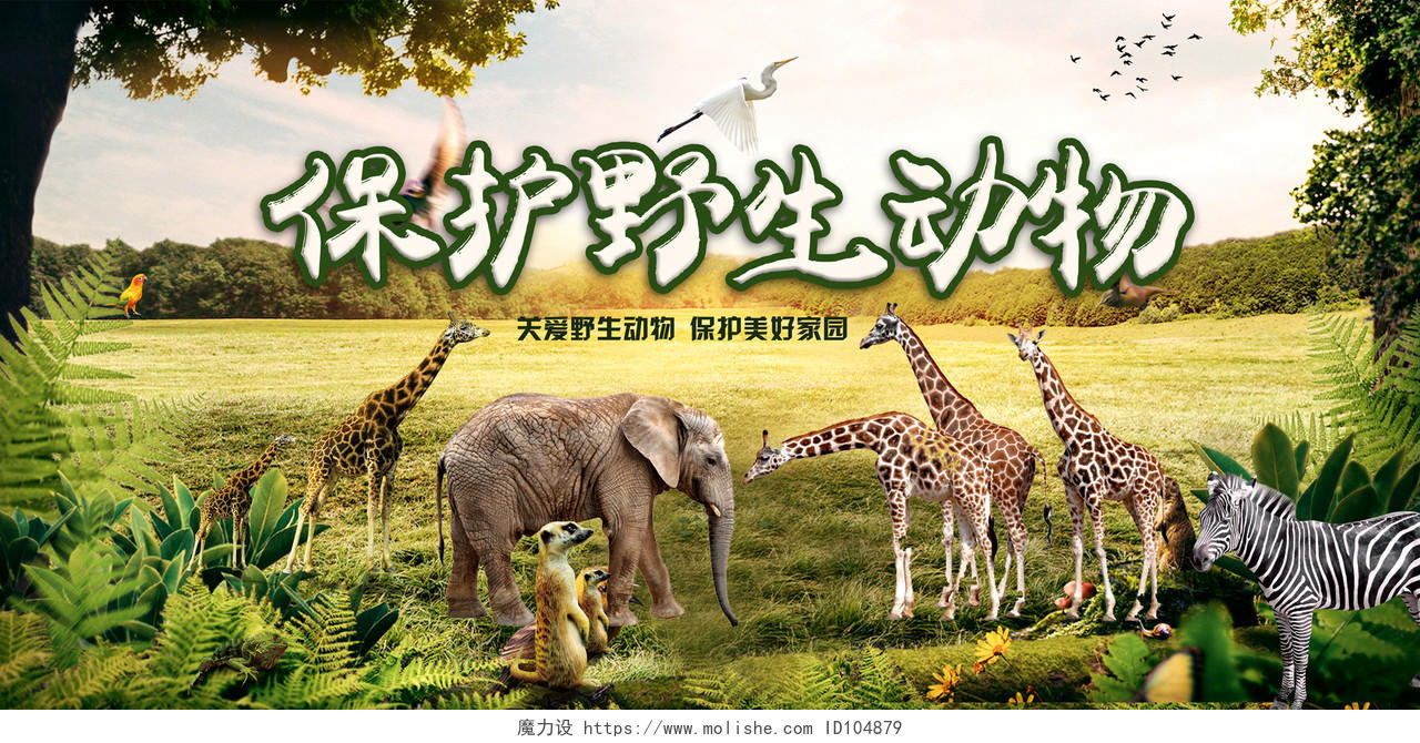 保护野生动物保护美好家园森林动物群动物园海报展板